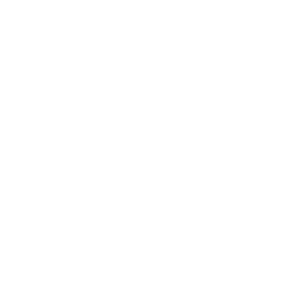 Salt Castle Studio