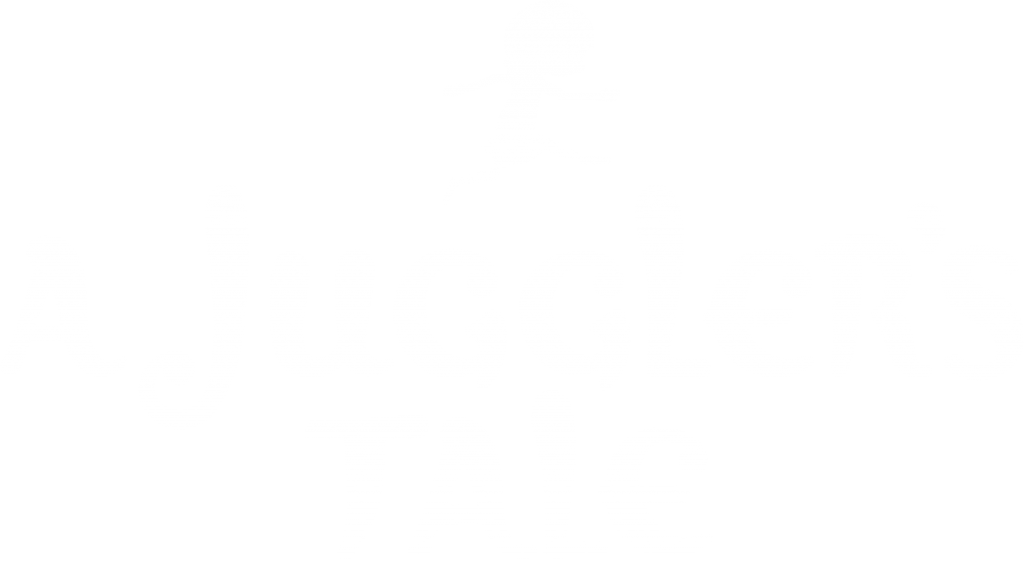 A Juggler’s Tale