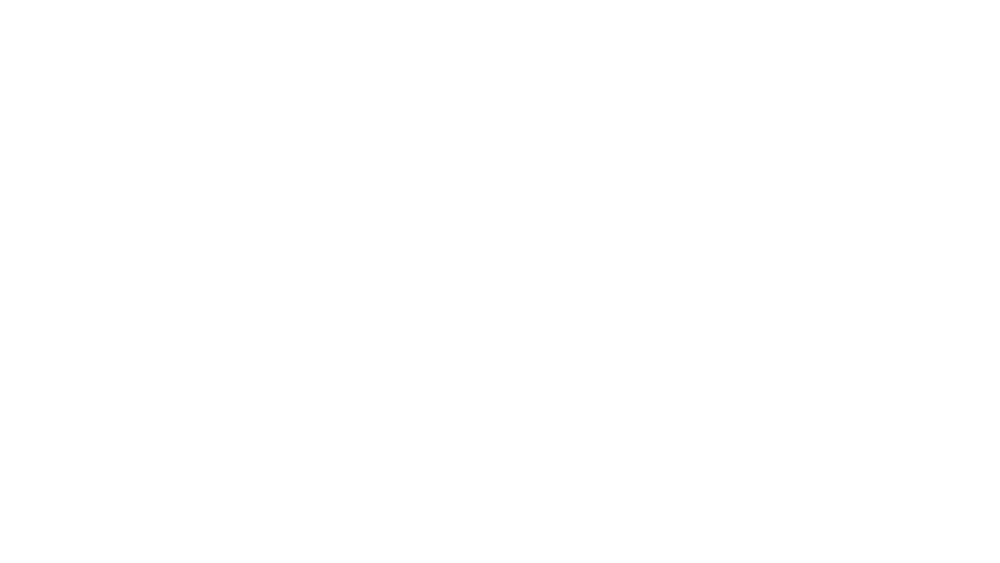 Roki
